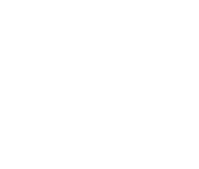 Lauction FROM JAPAN